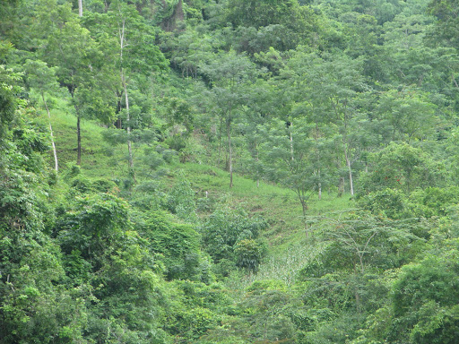 Thanh Hóa: Đề xuất dự án xây dựng khu du lịch trong rừng đặc dụng.2